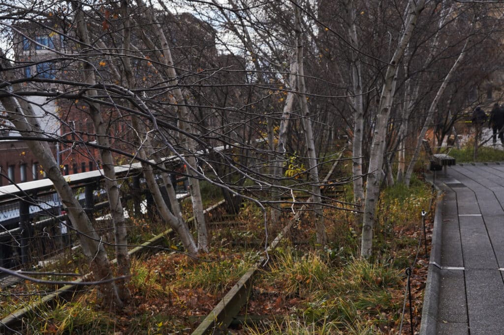 Highline in New York