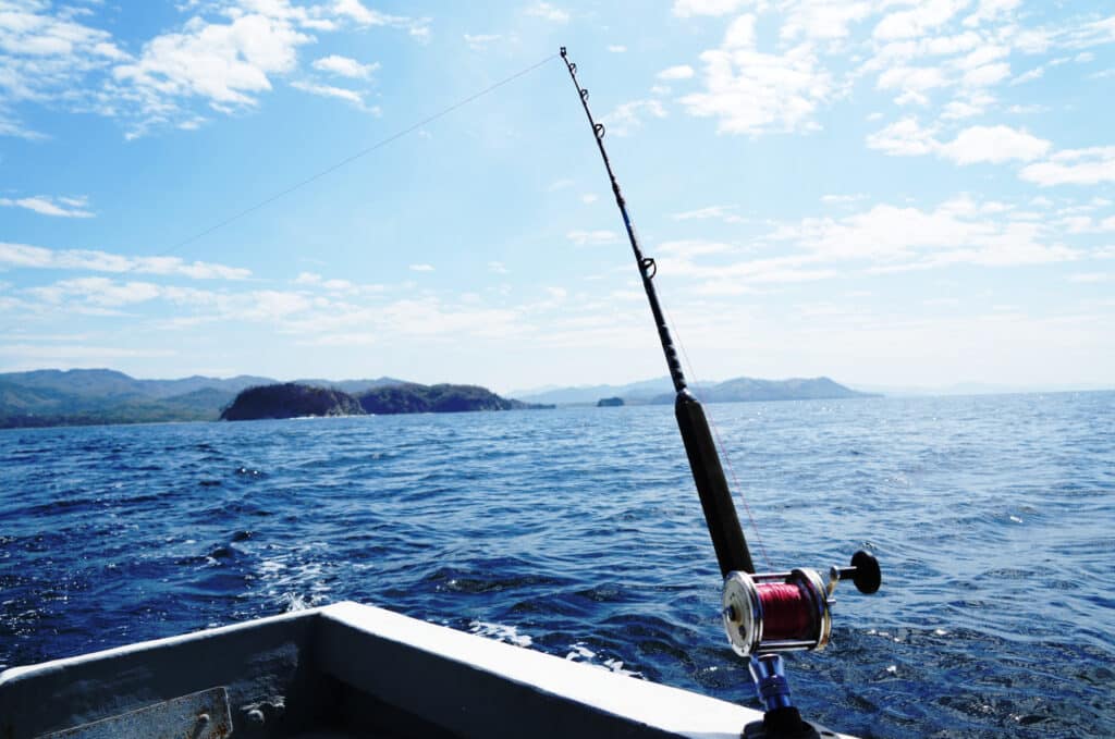 Boat by Leo tours