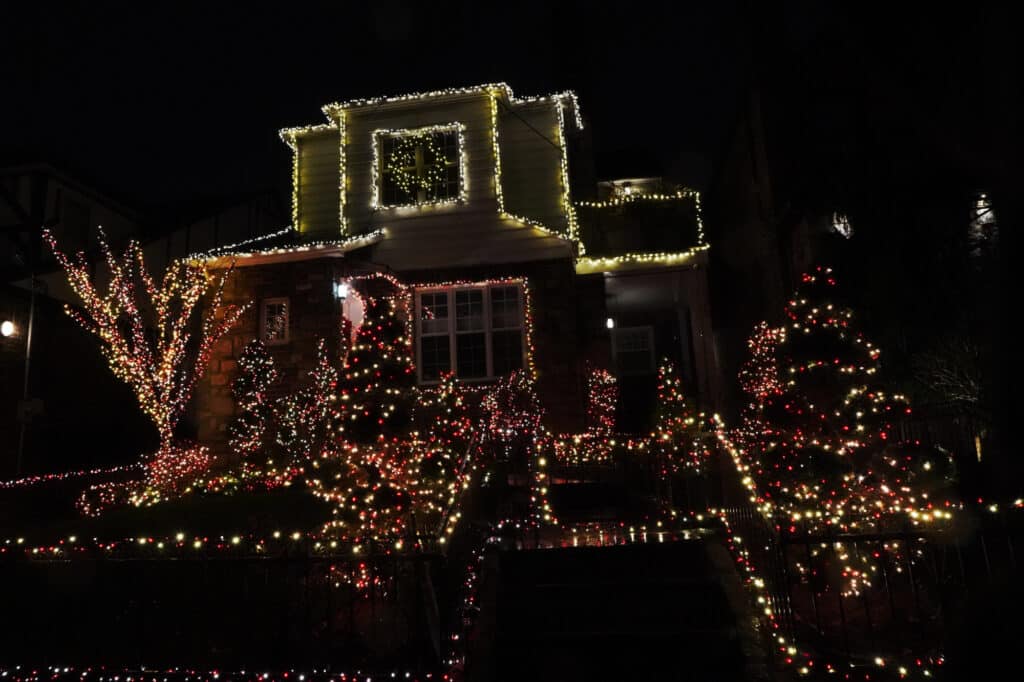 Dyker Lights