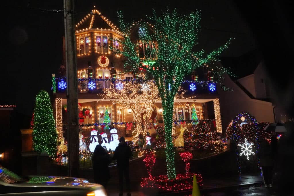 Dyker Lights