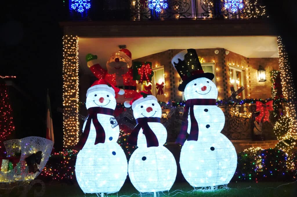 Dyker Lights