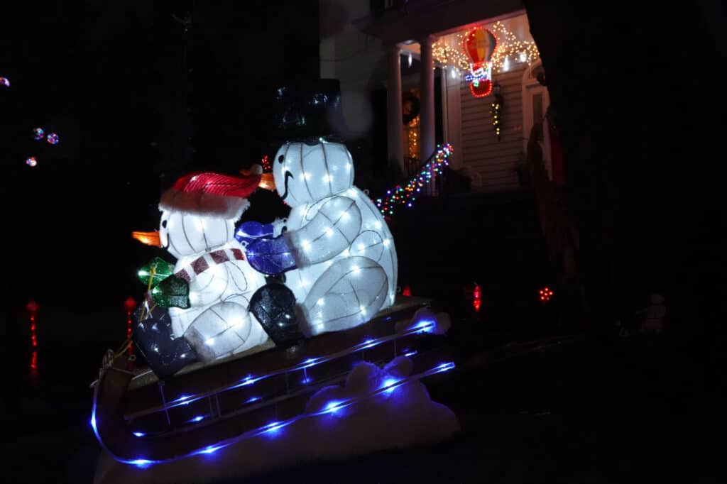 Dyker Lights