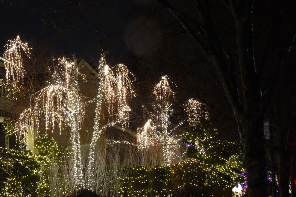 Dyker Lights