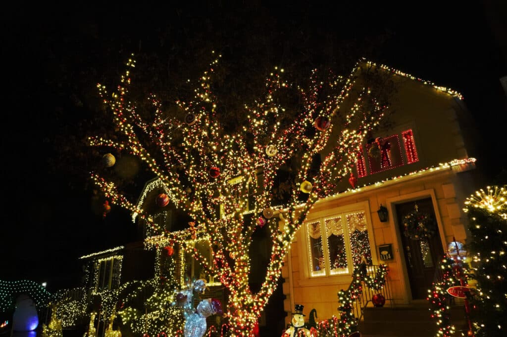 Dyker Lights