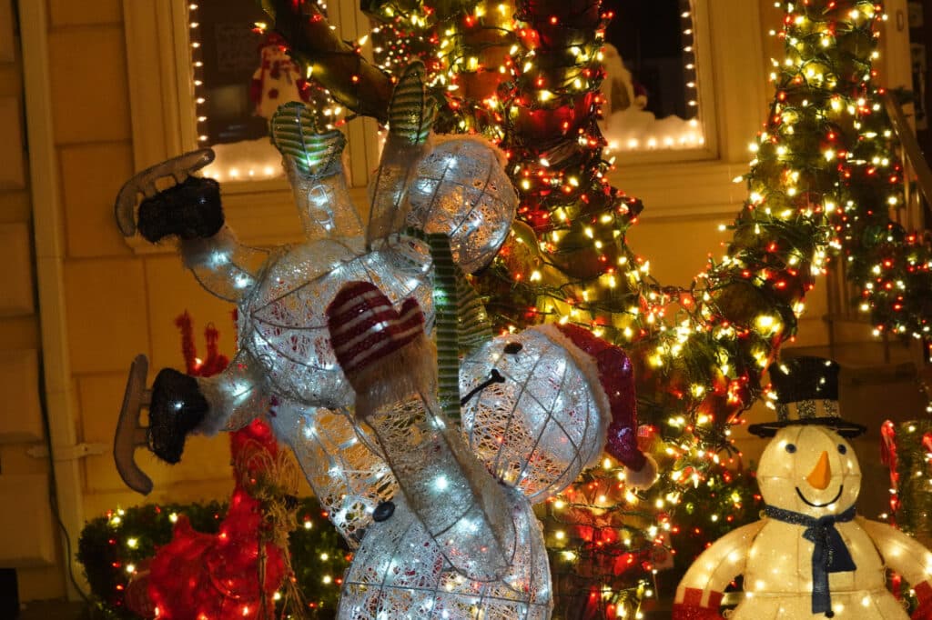Dyker Lights