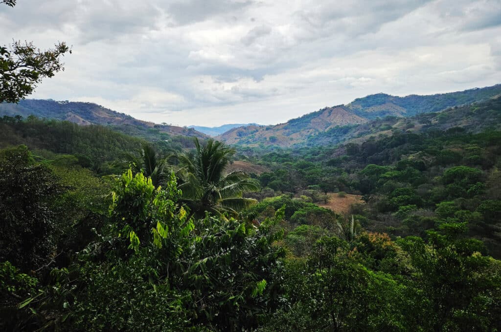 View from the restaurant in the mountains