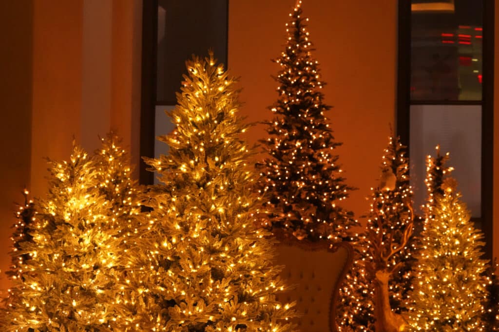 Christmas trees