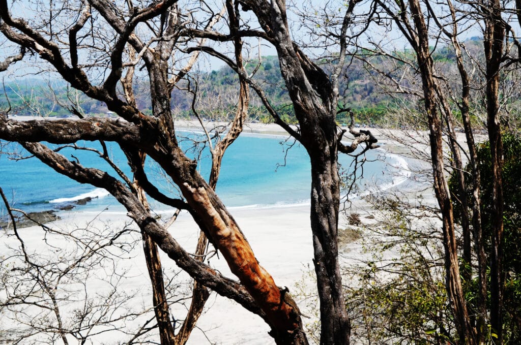 Playa Carrillo