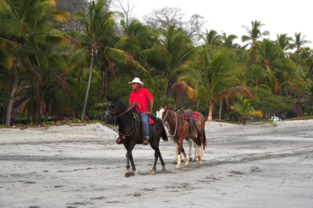 Horseback riding at the beach in Samara