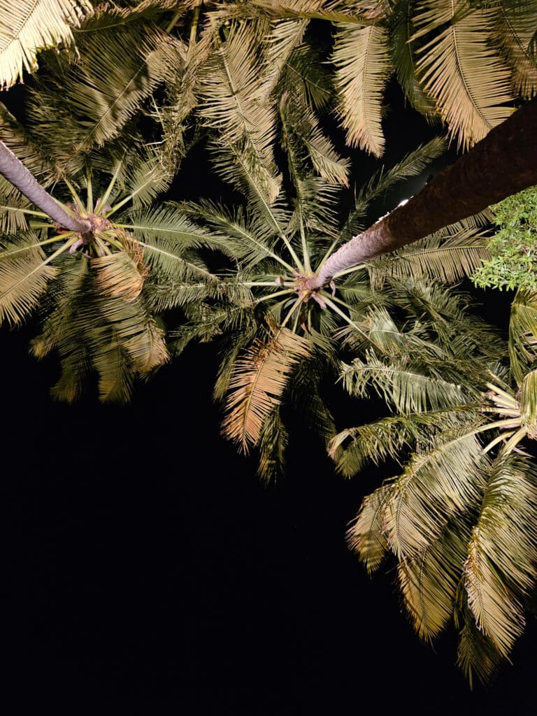 Samara beach at night