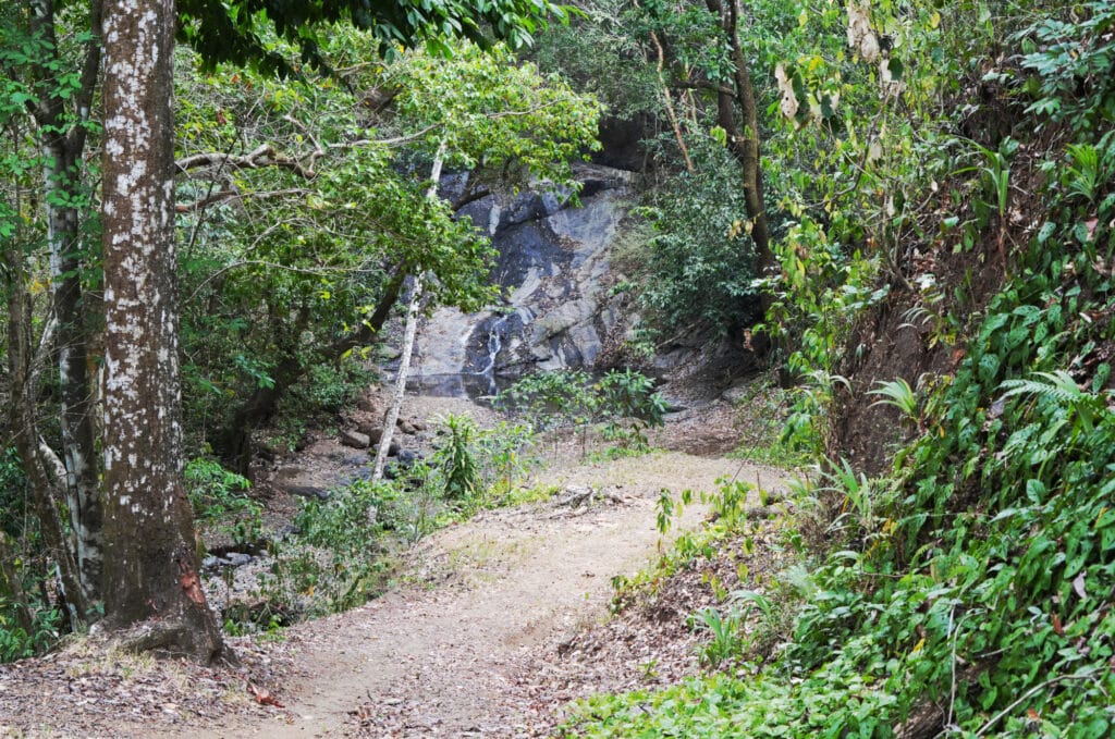 Path to La Roca Waterfall