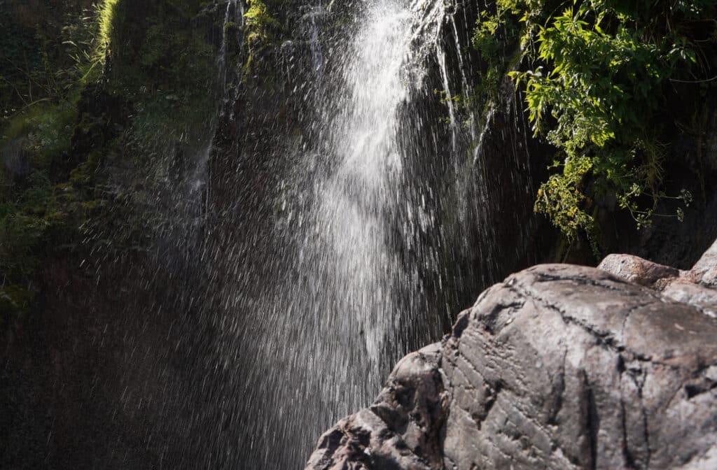 Clovelly Waterfall
