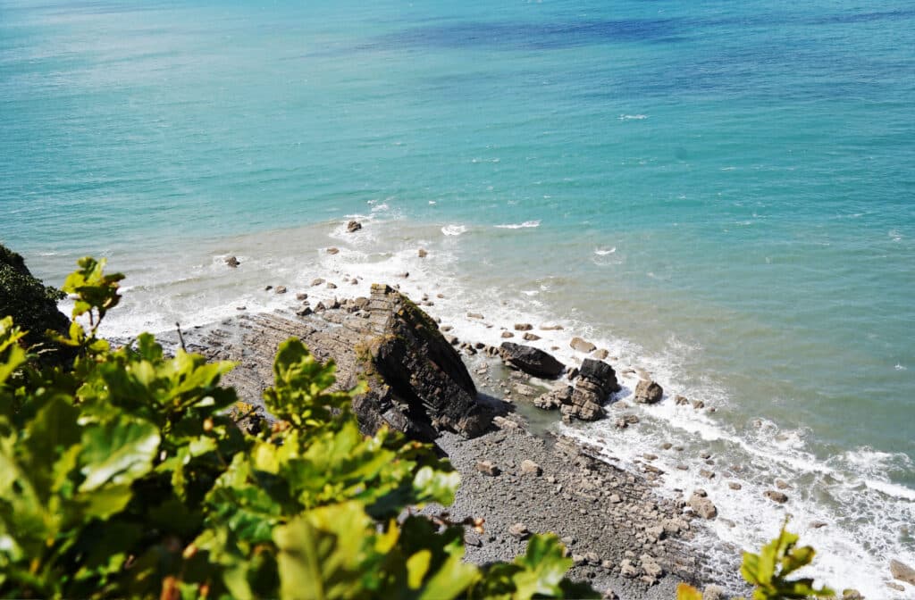 Clovelly coastpath