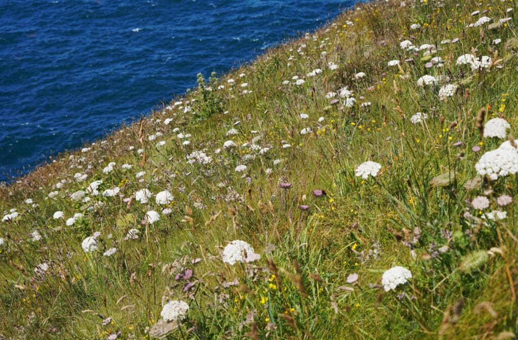 Southwest Coast Path