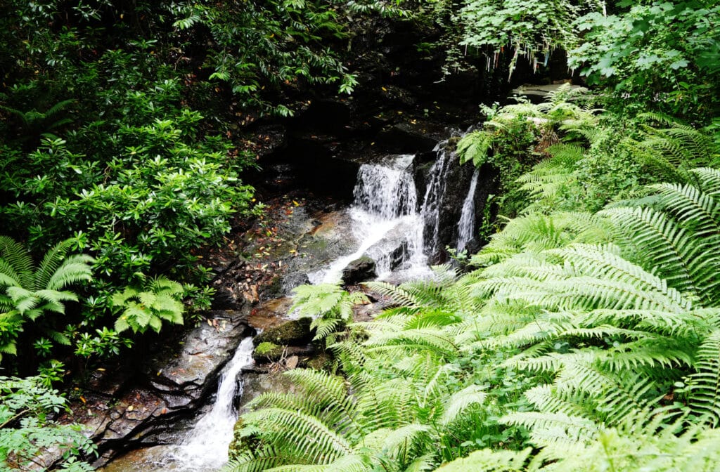 St Nectans Glen