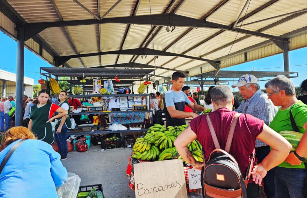 Farmers Market in Santana