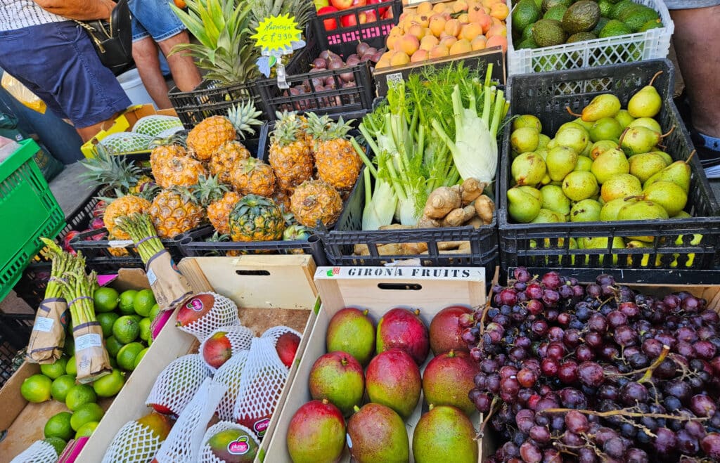 Farmers Market in Santana