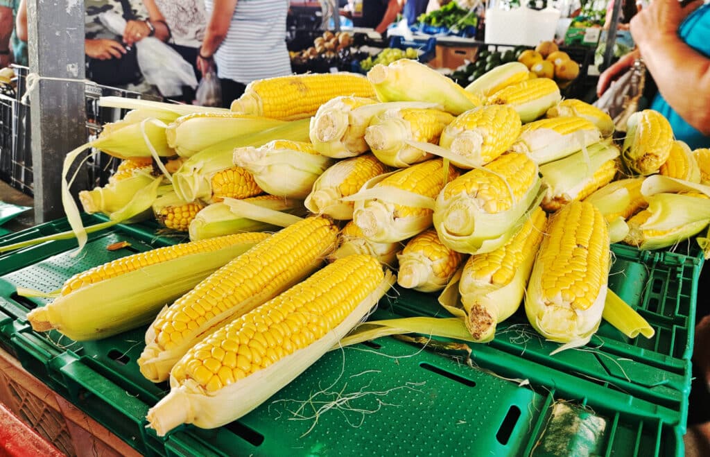 Farmers Market in Santana