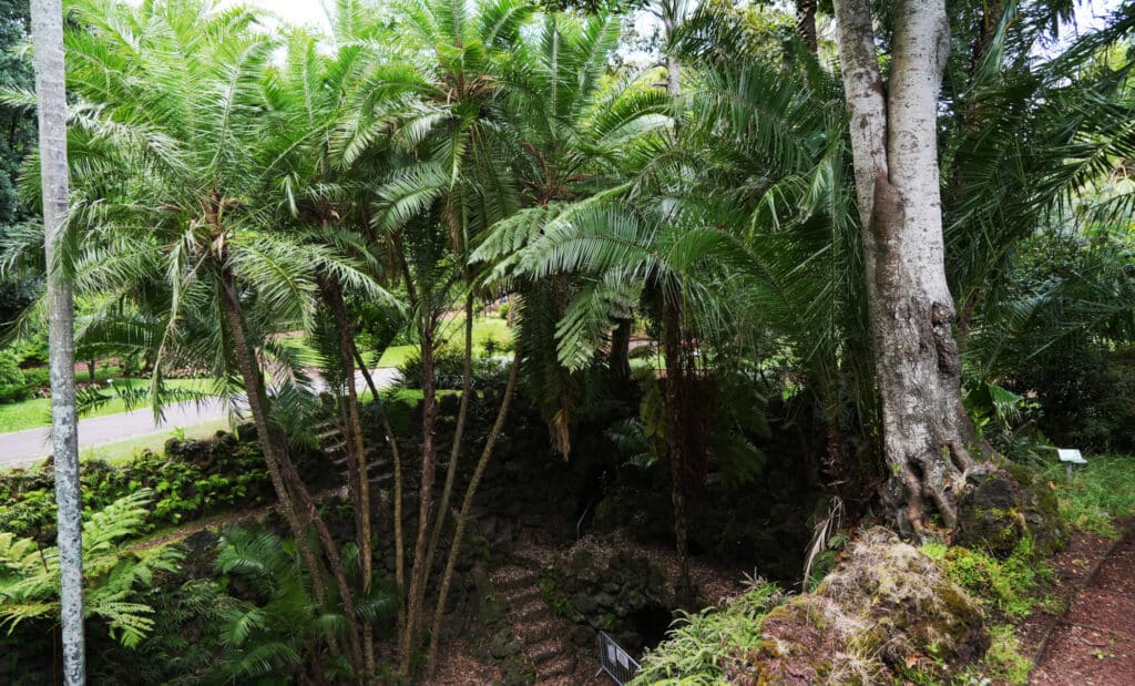 Botanical Garden Antonio Borges
