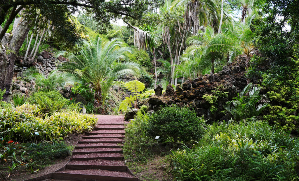 Botanical Garden Antonio Borges