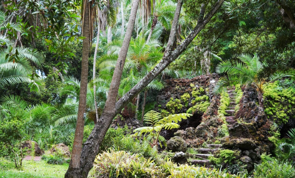 Botanical Garden Antonio Borges