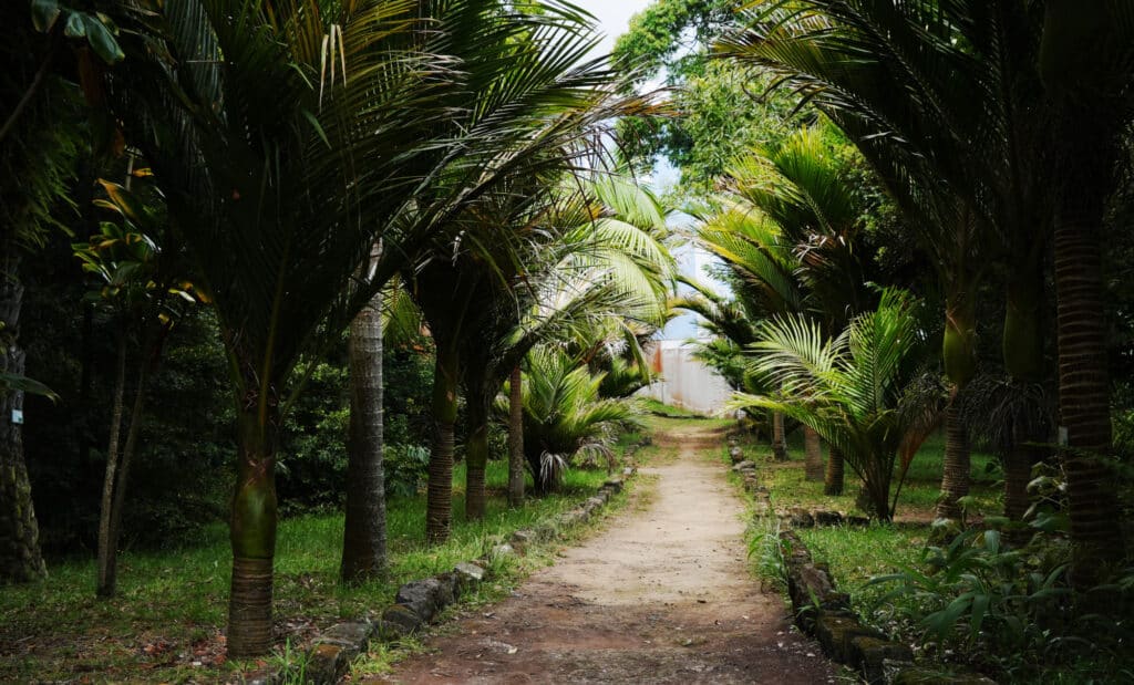 Botanical Garden Jose do Canto