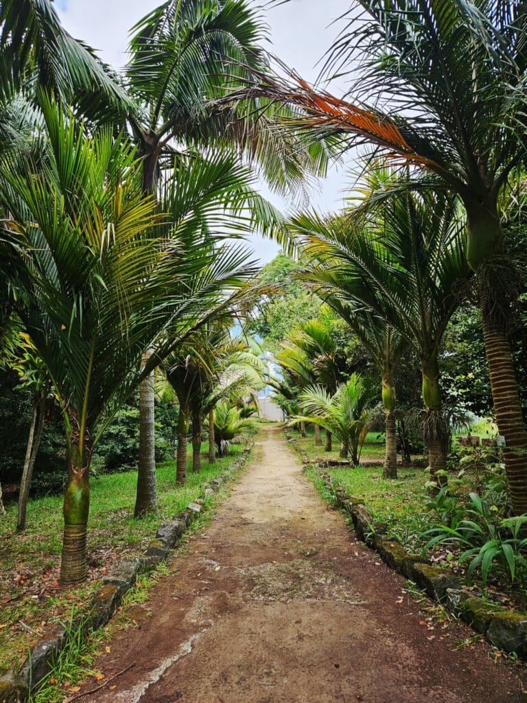 Botanical Garden Jose do Canto