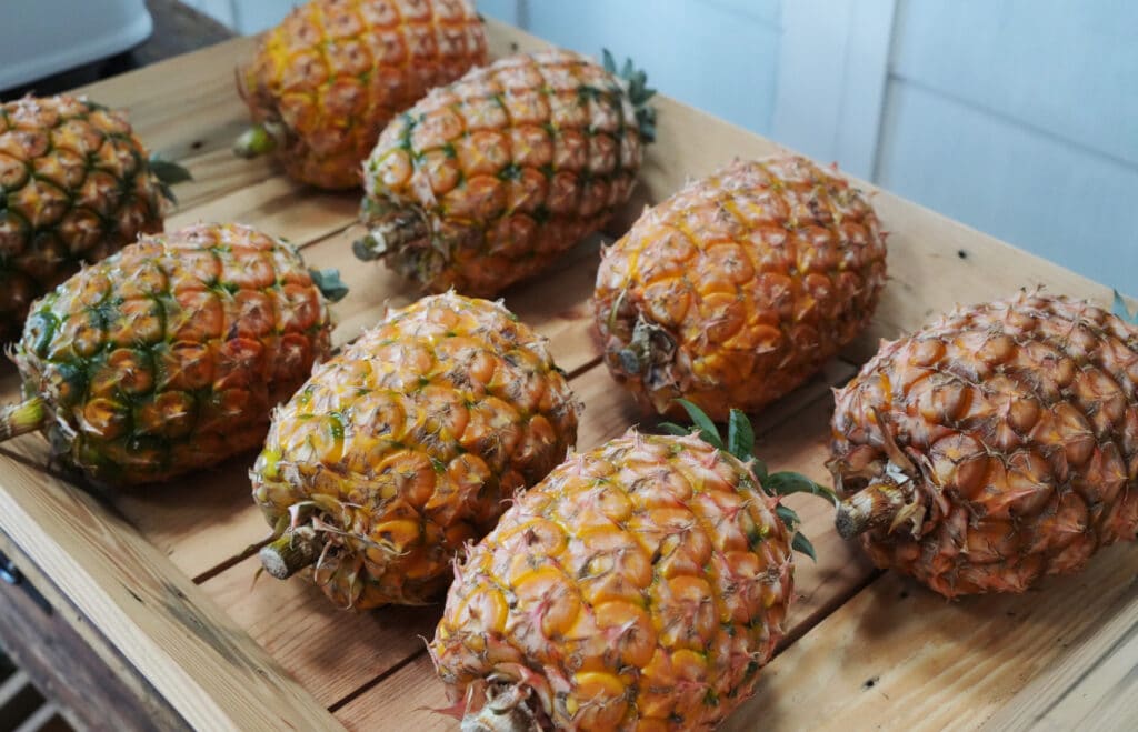 Santo Antonio Pineapple Plantation in Sao Miguel
