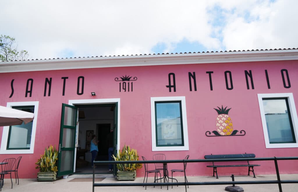 Santo Antonio Pineapple Plantation in Sao Miguel