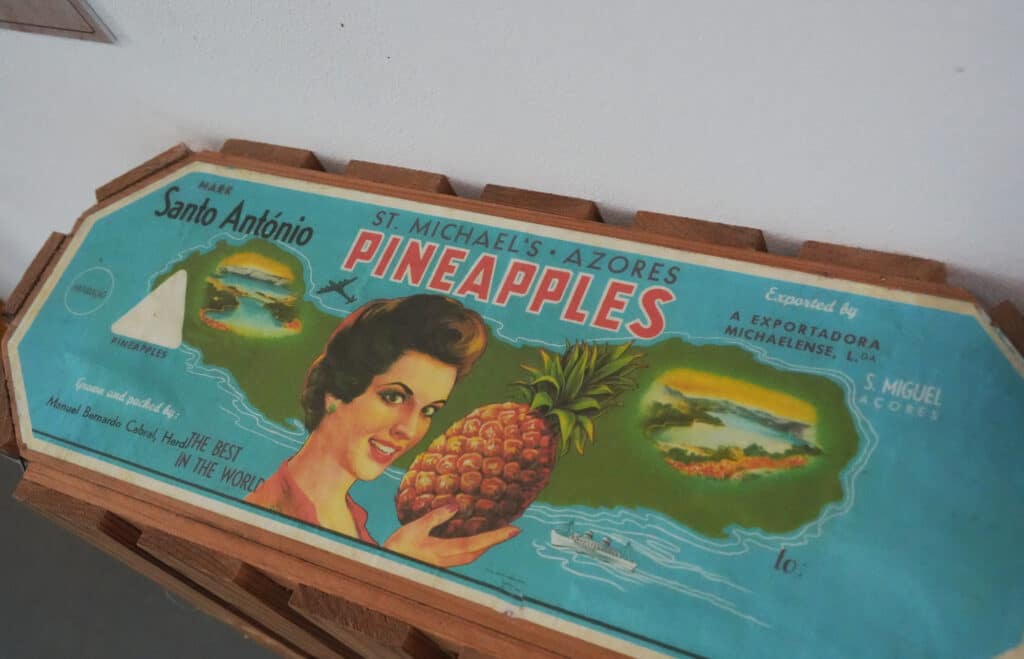 Santo Antonio Pineapple Plantation in Sao Miguel