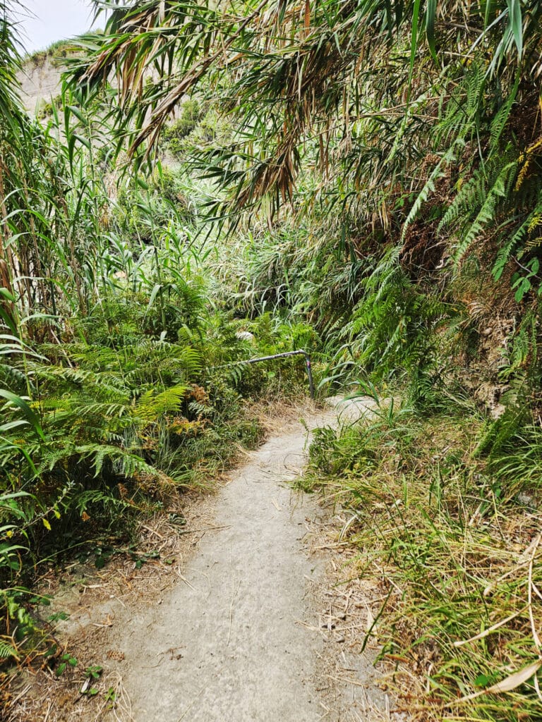 Praia Pedreira