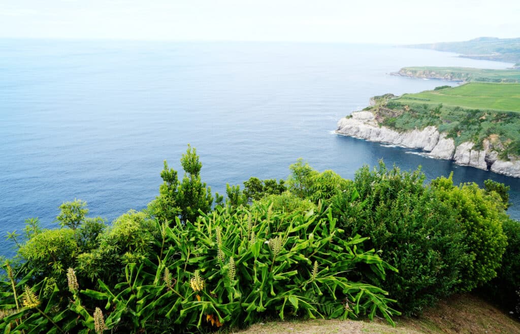 Praia Pedreira