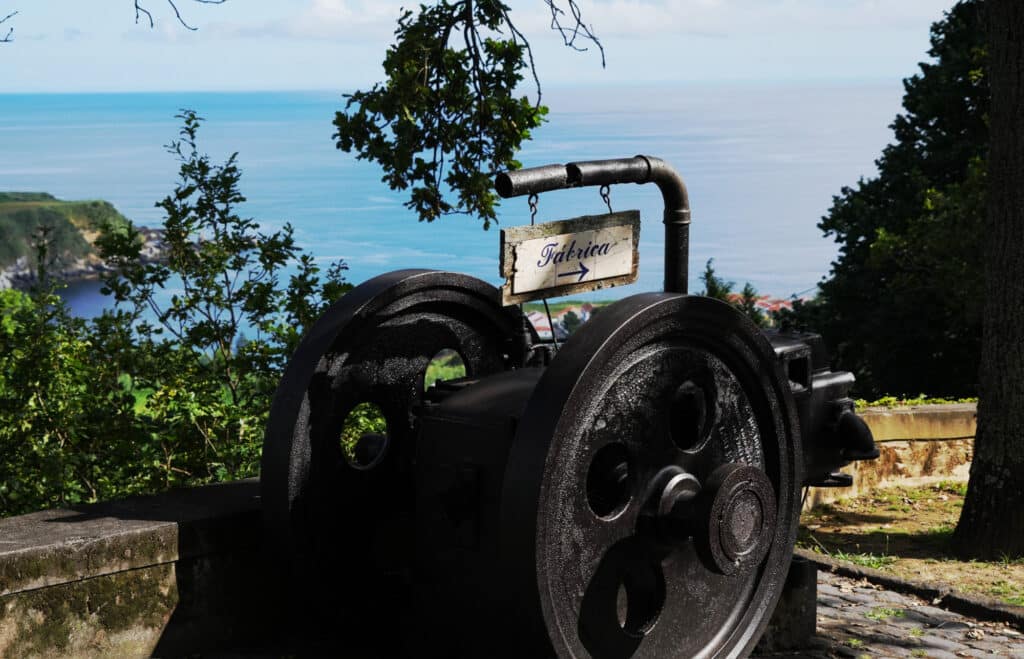 Porto Formoso Tea plantation