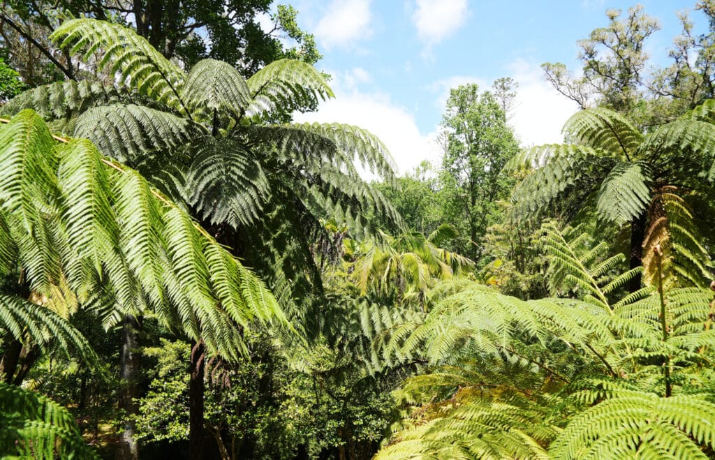 Terra Nostra Park