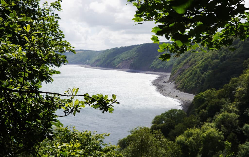 Views from the Hobbydrive Walk in Clovelly