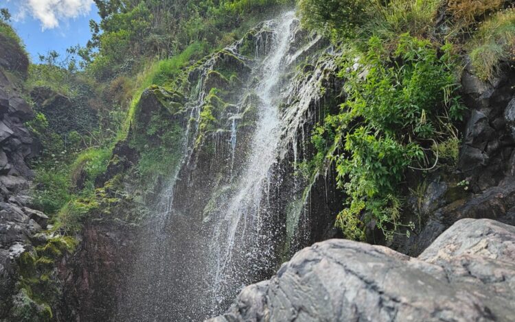 Clovelly Waterfall