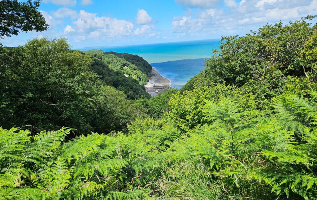 Views from the Hobbydrive Walk in Clovelly