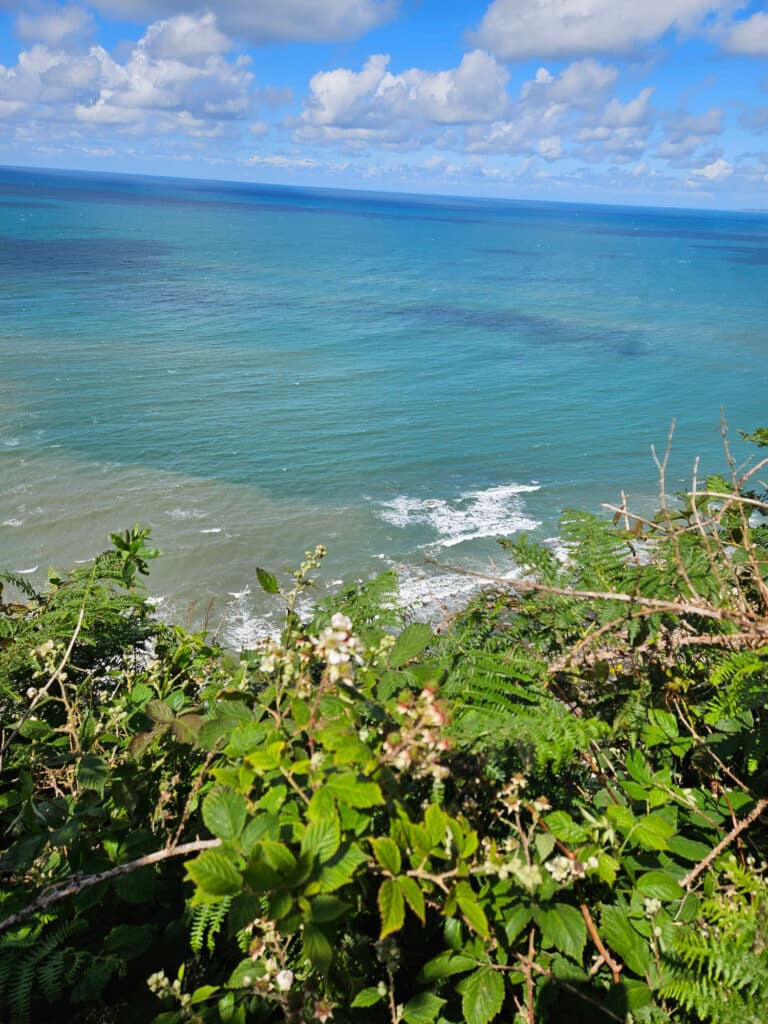 Mouthmill Cove Walk