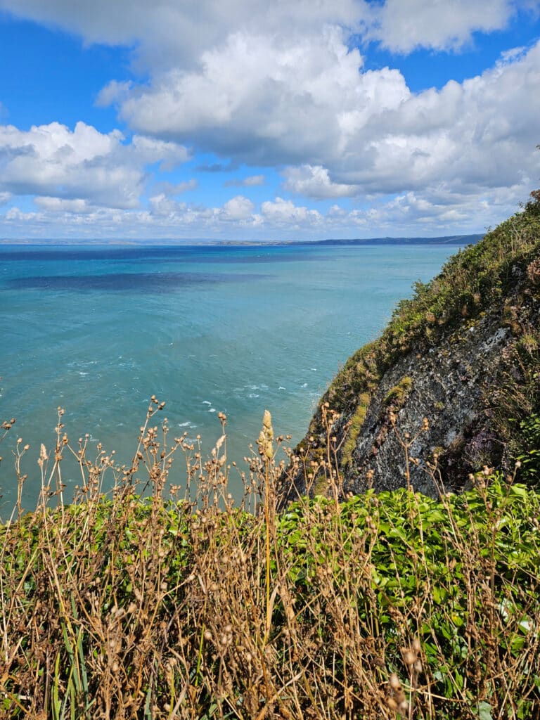 Mouthmill Cove Walk