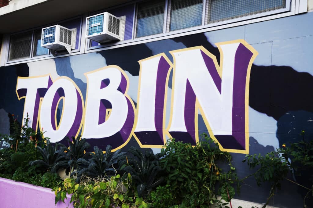 Street Art at Tobin School in Boston