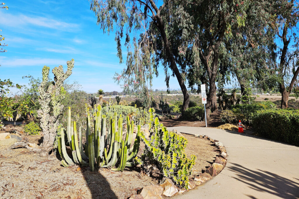 Balboa Park