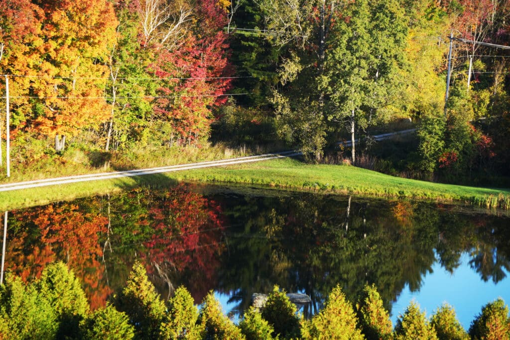Balloon Vermont