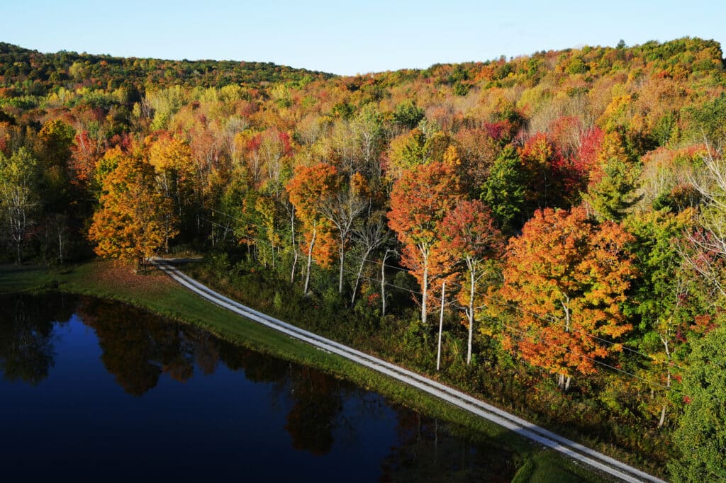 Balloon Vermont