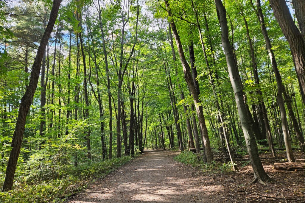 Cycling Tour along Lake Champlain