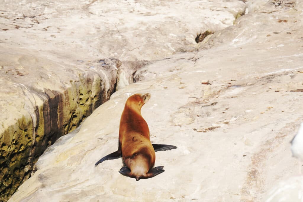 La Jolla in San Diego