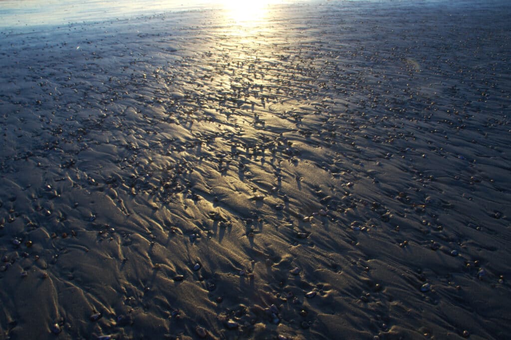 Sunset at Venice Beach