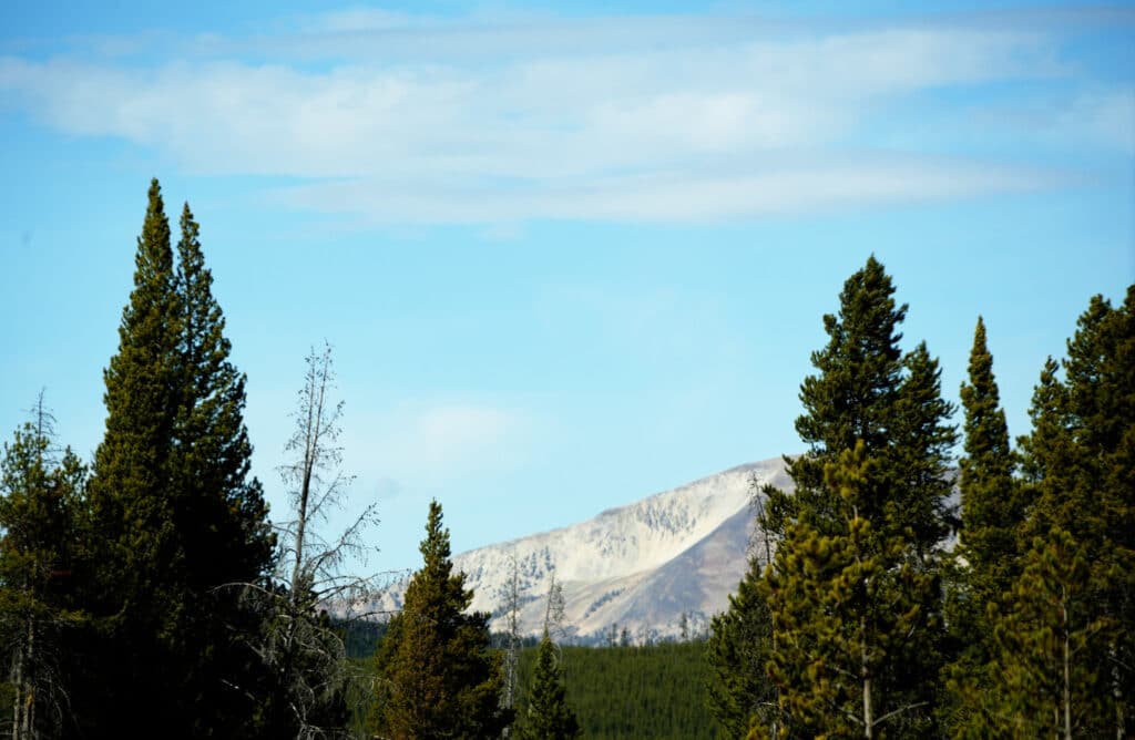 Yellowstone
