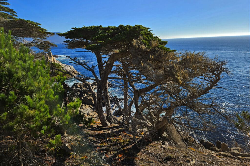 17-Mile-Drive in Monterey