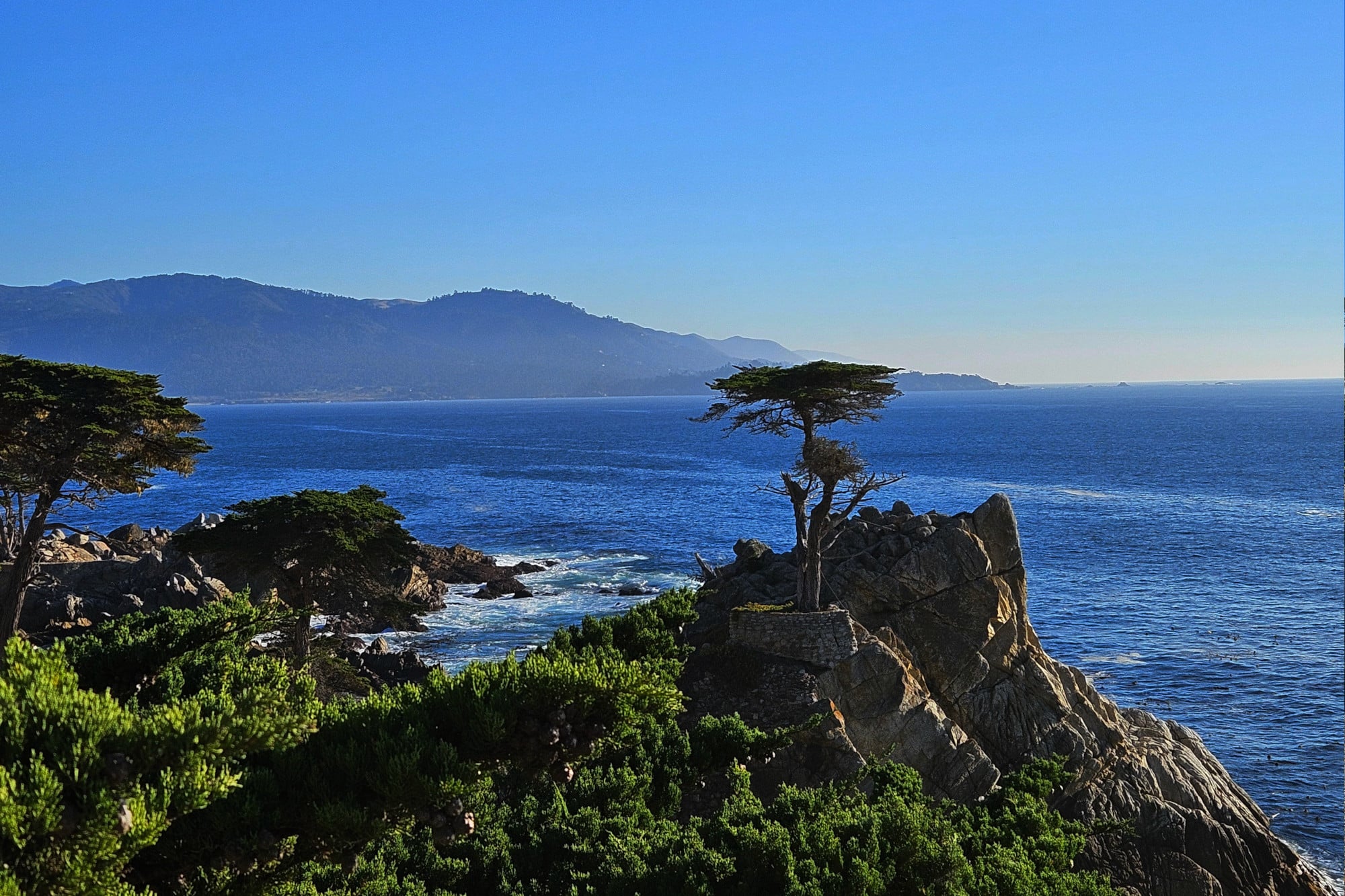 Lone Cypress at the 17-mile-drive in Monterey