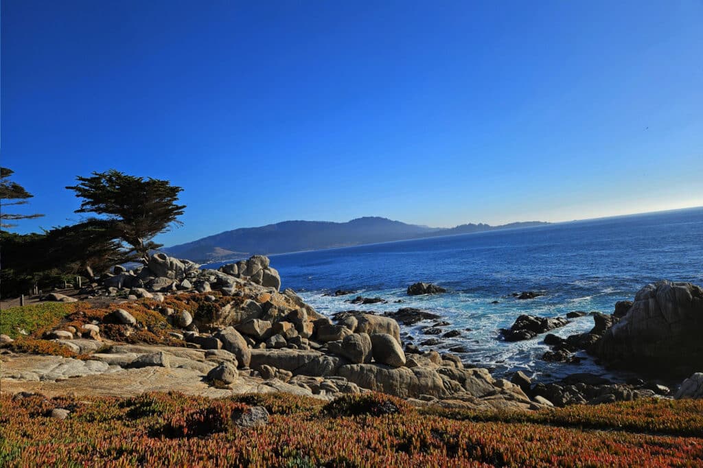 17-Mile-Drive in Monterey